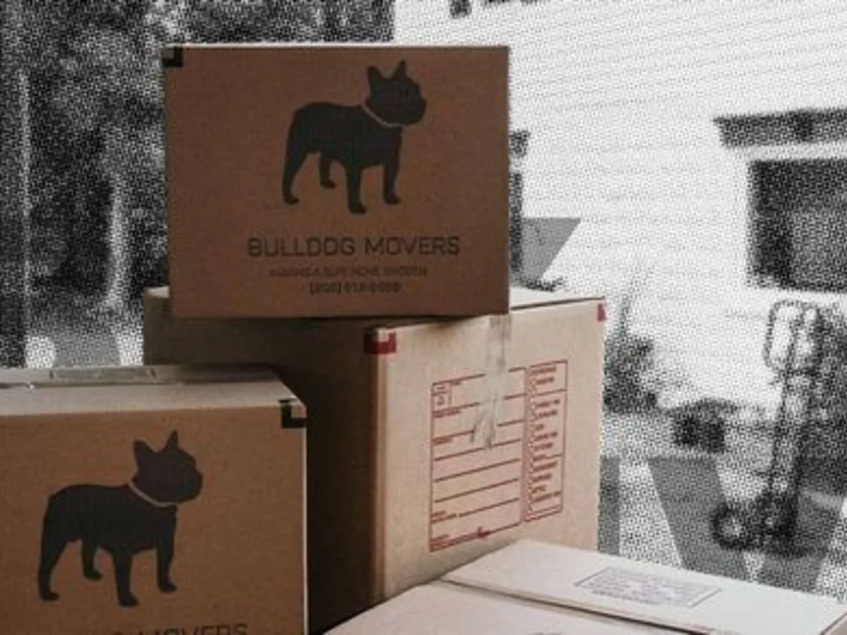 Bulldog Movers moving boxes and supplies for Manassas moving customers
