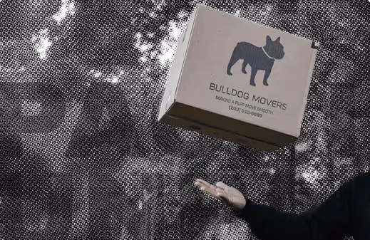 Branded Bulldog Movers box for packing services